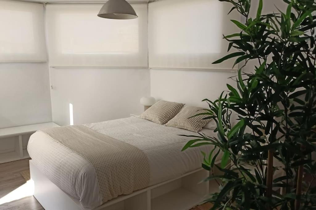Salitre Malaga Center Apartman Kültér fotó